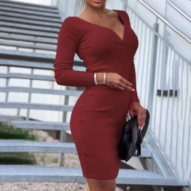 Slim Long Sleeve V Neck Dress